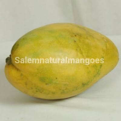 Salem Natural Mangoes